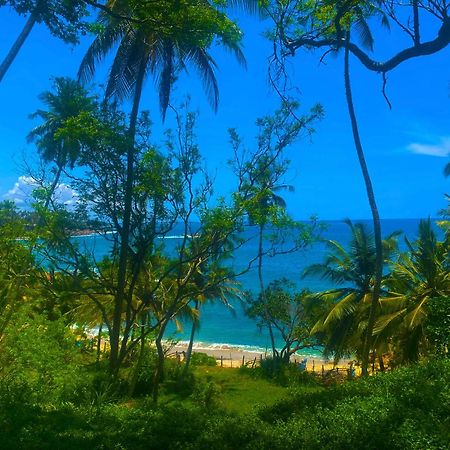 Bluewind Resort تانجالي المظهر الخارجي الصورة